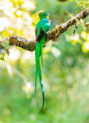  Quetzal!  A Bird of Paradise Known for Its Iridescent Plumage and Remarkable Aerial Acrobatics